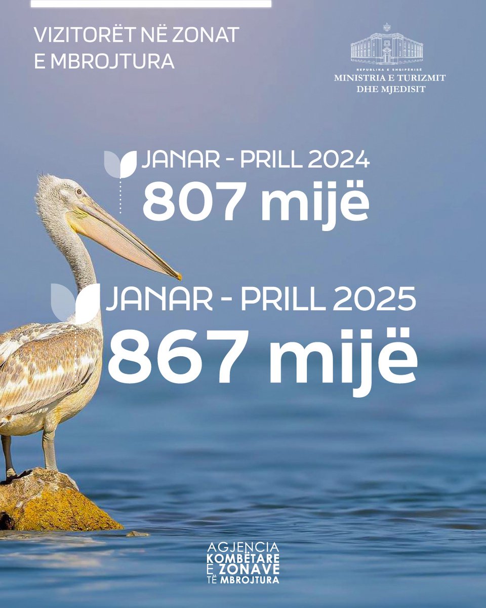 🌿Vetëm në 4 muajt e parë të 2025, 867 mijë vizitorë kanë eksploruar bukuritë e zonave tona të mbrojtura – 60 mijë më shumë se në të njëjtën periudhë të vitit të kaluar 📈

🇦🇱Shqipëria po bëhet gjithnjë e më shumë destinacioni i preferuar për dashamirësit e natyrës e aventurës🦩