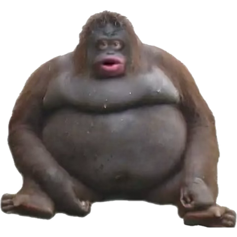 bigpumpum tweet media