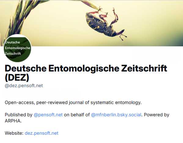 DEZ Journal tweet media