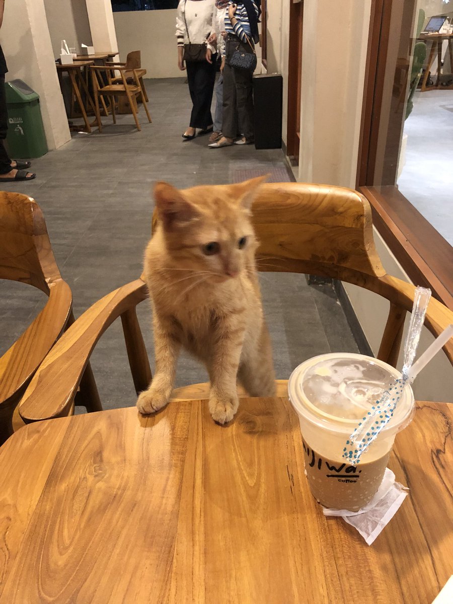 Efrialial's tweet photo. Bersama oyen https://t.co/w0aJtff73T