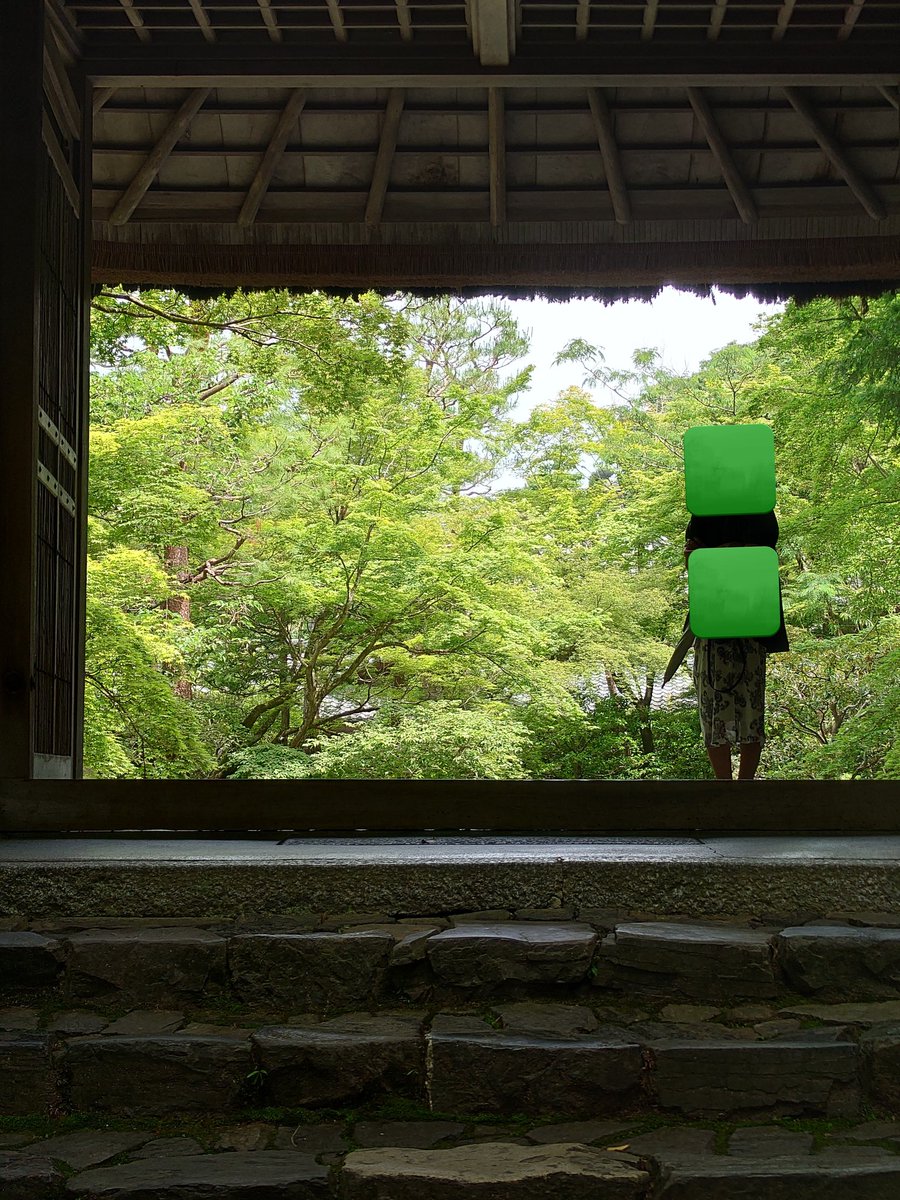onochiarose1's tweet photo. 法然院

銀閣寺から少し南に下ったところ
人も少なくてなかなかよかったです🌿🌿🌿

拝観料無料
駐車場はないので近くの私営駐車場に
2時間 500円 https://t.co/KK0SWcRyAo