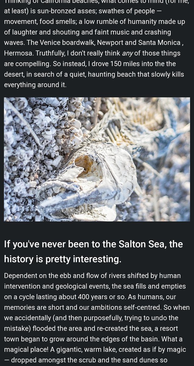 crimsonclad tweet media