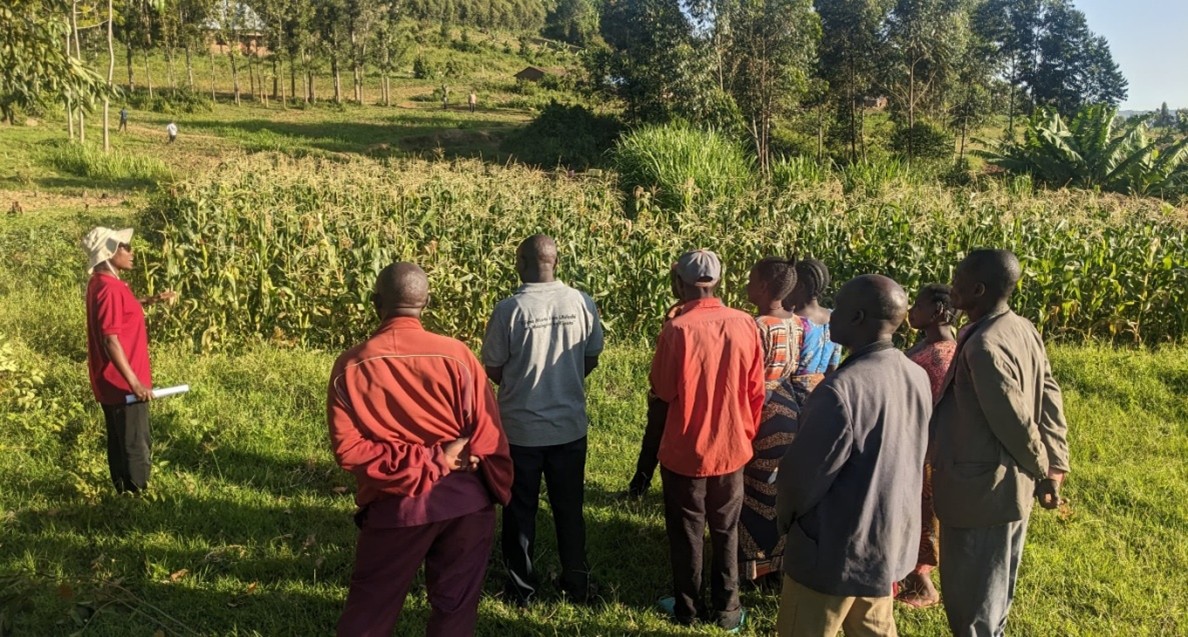 upscale_h2020's tweet image. 🌽 From trials to trust 🌿
Farmers in Tanzania’s Mara Region are taking sustainable agriculture into their own hands! With support from #UPSCALE and partners, @TanzaniaTari and @icipe, they’ve been testing PPT on the ground — and the results are in. 🚜
🔗upscale-h2020.eu/from-trials-to…
