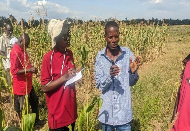 upscale_h2020's tweet image. 🌽 From trials to trust 🌿
Farmers in Tanzania’s Mara Region are taking sustainable agriculture into their own hands! With support from #UPSCALE and partners, @TanzaniaTari and @icipe, they’ve been testing PPT on the ground — and the results are in. 🚜
🔗upscale-h2020.eu/from-trials-to…