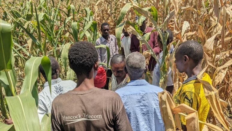 upscale_h2020's tweet image. 🌽 From trials to trust 🌿
Farmers in Tanzania’s Mara Region are taking sustainable agriculture into their own hands! With support from #UPSCALE and partners, @TanzaniaTari and @icipe, they’ve been testing PPT on the ground — and the results are in. 🚜
🔗upscale-h2020.eu/from-trials-to…