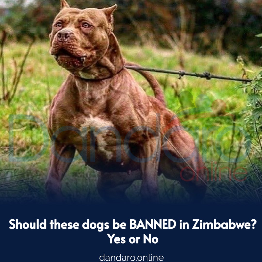 #dandarotalk Let's discuss...👏🏾💯✔️