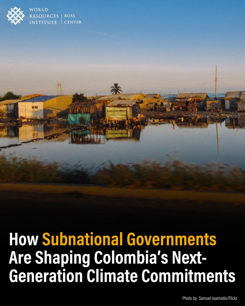 WRIRossCities's tweet photo. 🇨🇴 Colombia is updating its #NDC with local voices at the forefront! 

Through 5 regional workshops, 35 cities + departments are shaping national climate commitments. Key focus: #NatureBasedSolutions for #UrbanResilience. Learn more: https://t.co/s4ll64DToe #CHAMP @WRIColombia https://t.co/UlaG0RLzGD