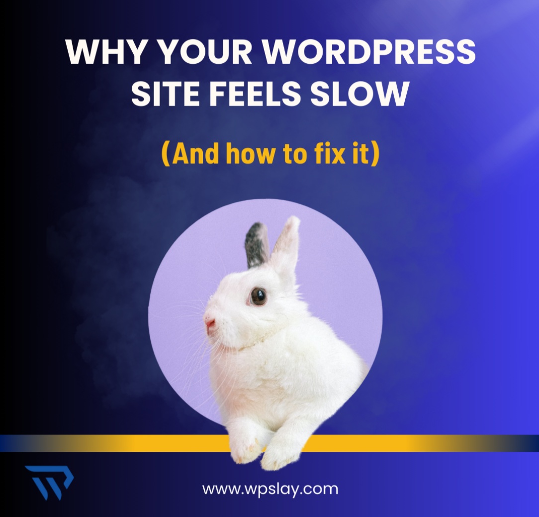 Why your WordPress site feels slow
(And how to fix it)

Your homepage shouldn’t move like dial-up in 2025.
Want speed? Start by trimming the fluff.

#FixSlowSite 
#WPPerformance