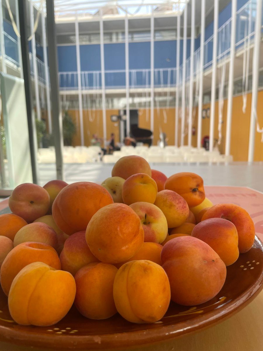 🍑🎻 Ahir vam donar el tret de sortida al cicle Albercords amb el Trio Quantum.

📸 Aquí teniu algunes imatges d’aquesta primera vetllada de música clàssica.