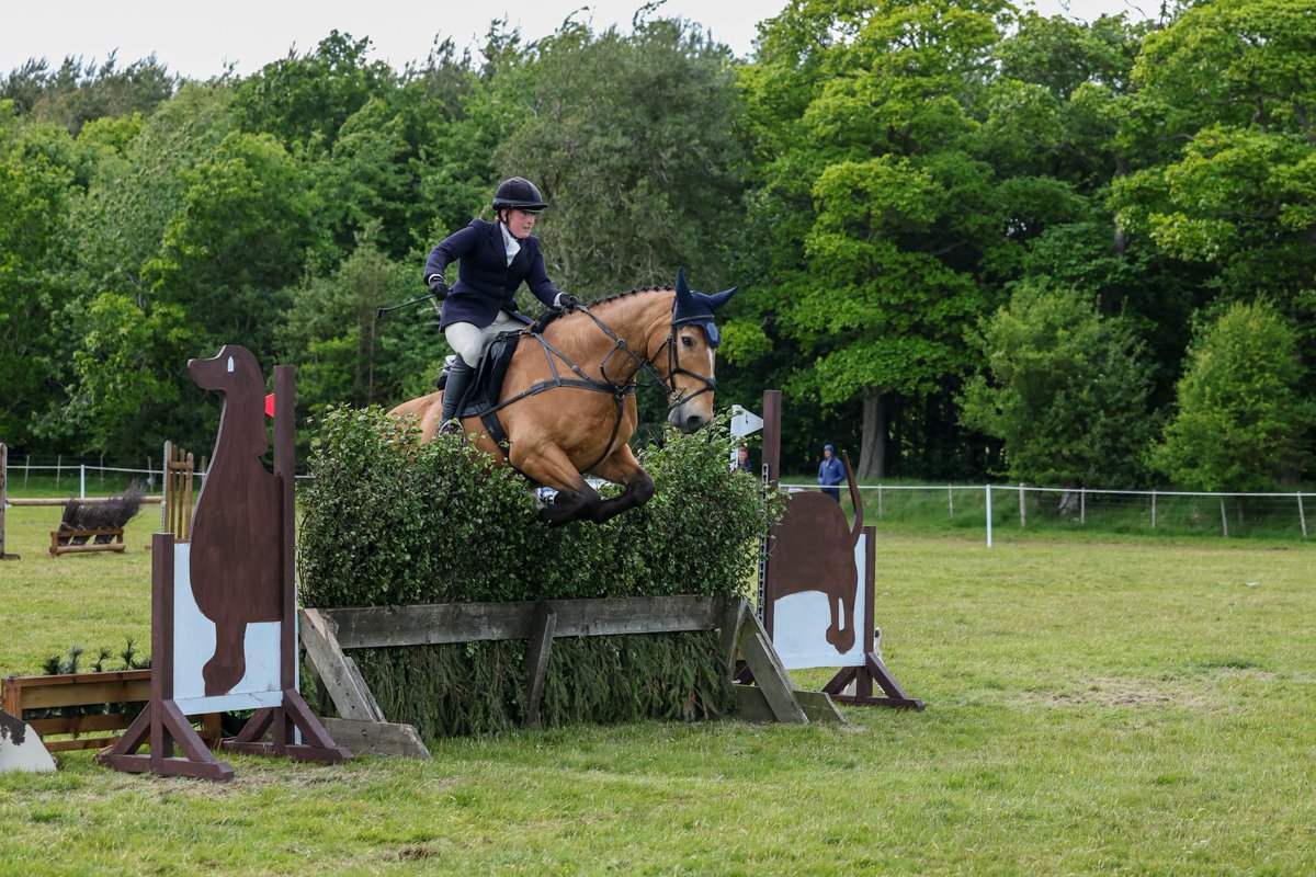 Gsxr1000UKKO's tweet photo. Belsay International Inter-Hunt Relay #horse #relay #countryside #rual #belsay https://t.co/I8w0ZmXihc