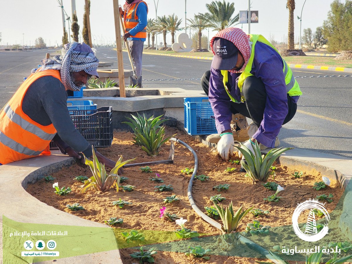 #بلدية_العيساوية | 📸

ضمن مـبـادرة #الجوف_واحة_خضراء، وفـي إطـار 
سعينا المستمر لتحسين المشهد الحضري وتعـزيز 
الغطاء النباتي، نواصـل جهـودنا في زراعـة الأشجـار 
وتهيئة المساحات الخضراء فـي العيسـاوية والقرى
التابعة، نحو بيئة أجمل ومستقبل أكثر استدامة. 🌳💚

#جودة_الحياة