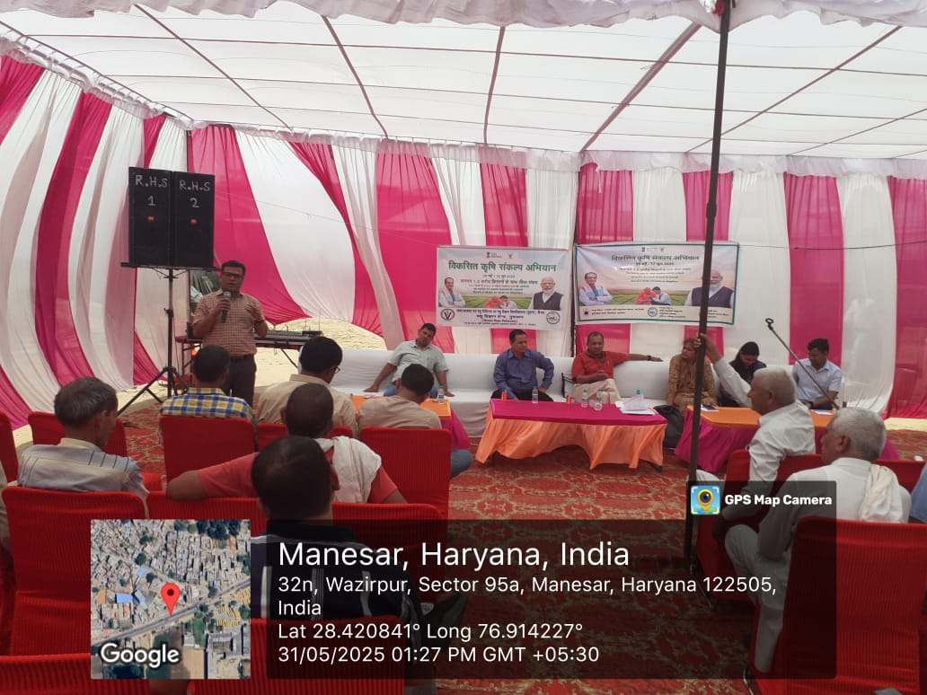 ICAR_NIPB's tweet photo. संस्थान के वैज्ञानिक "विकसित  कृषि  संकल्प  अभियान" कार्यक्रम के तहत हरियाणा के विभिन्न गाँव में किसान भाईयों एवं बहनों से खरीफ फसलों से संबंधित कृषि कार्य-कलाप एवं तकनीकों पर चर्चा करते हुए।
#viksitkrishisankalpabhiyaan https://t.co/fZHWZoEOiD