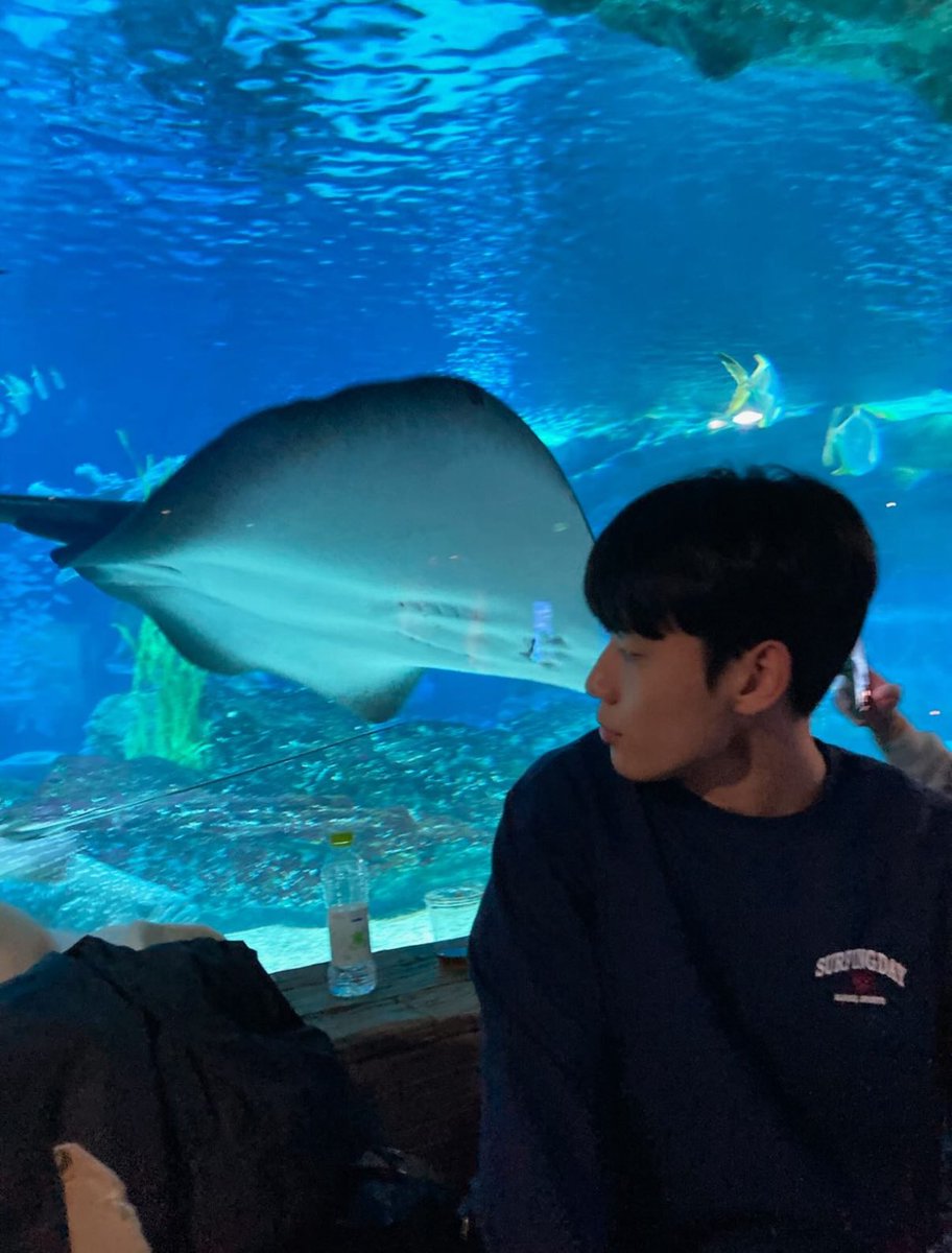 퐁 tweet media