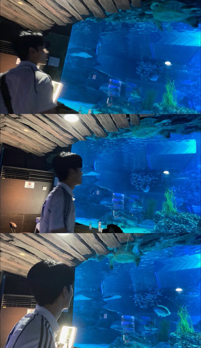 퐁 tweet media