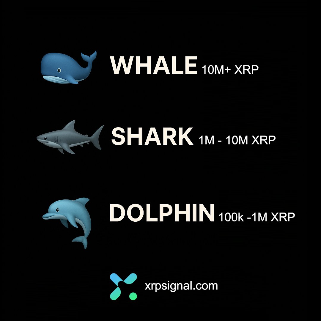 XRPsignal tweet media