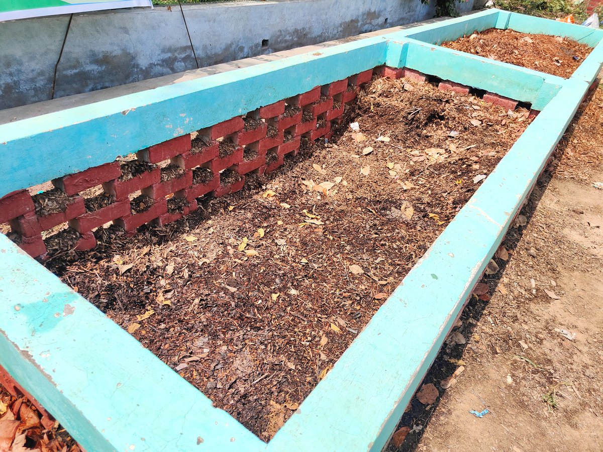 DAV College Bathinda organizes Compost Distribution Drive to celebrate International Day for Biological Diversity (IDB)- 2025

#punjabbiodiversityboard