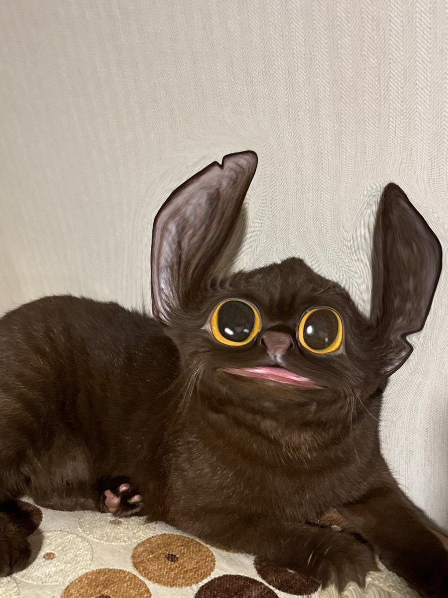 สติ้ชบ้านชั้น