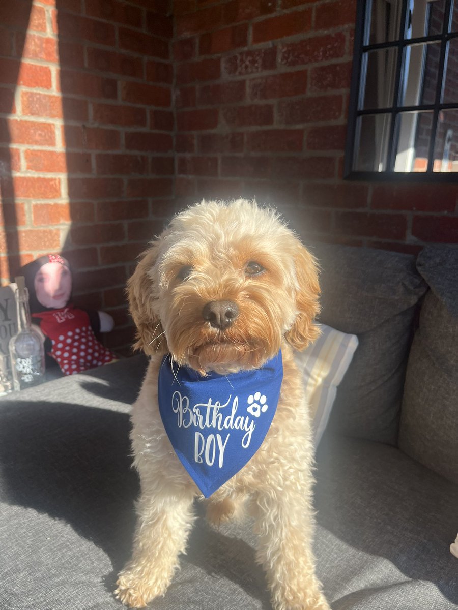 Karen Webb tweet media