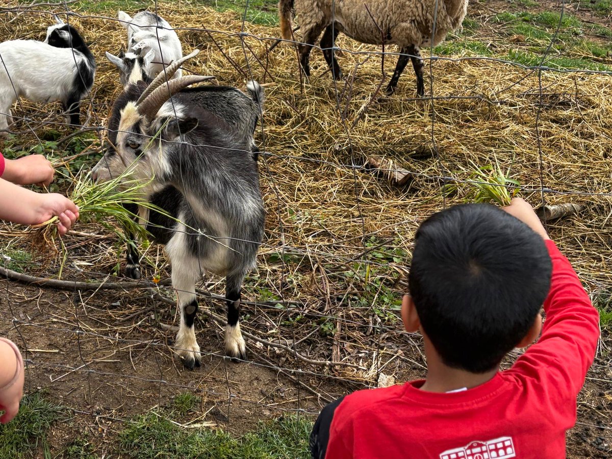 L'alumnat de 3r  ha visitat el Parc de les Olors de Santa Eulàlia de Ronçana. Un dia fantàstic!