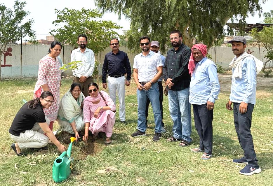 DAV College Bathinda Organizes Tree Plantation and Plant Saplings Distribution to general public to celebrate International Day for Biological Diversity (IDB)-2025

#punjabbiodiversityboard