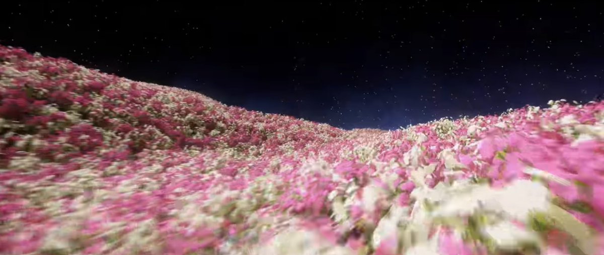 ʜᴏʀᴀɴɢ tweet media