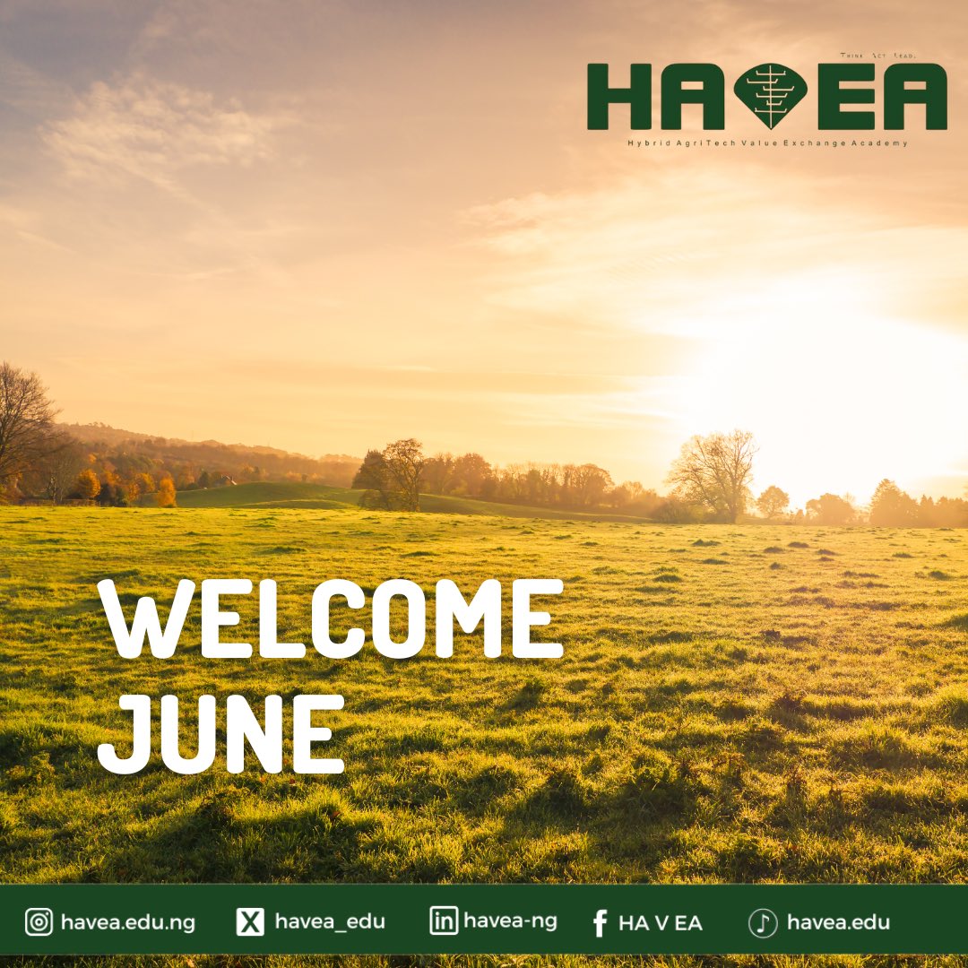 HAVEA_Edu's tweet photo. Hello June 🌱

A new month means new opportunities for growth—in the soil, in knowledge, and in purpose.

If you’ve been waiting to start your Agritech journey, consider this your sign to begin.

Happy New Month from HAVEA 🌾

#Smartfarming #agritech #june #HappyNewMonth https://t.co/A8Hw3p6eA0