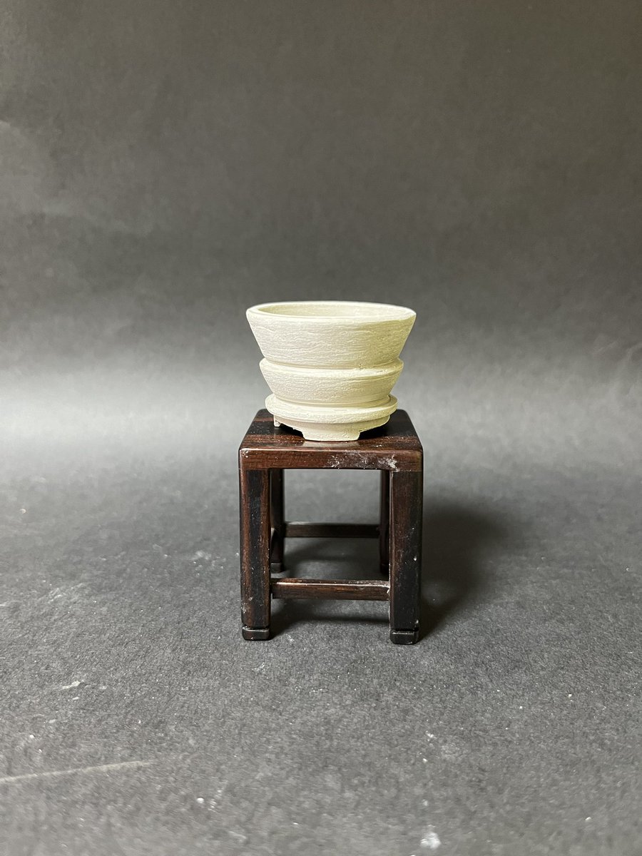 盆栽小鉢 信心 (shinjin) (@koeda10utsuwa) / X