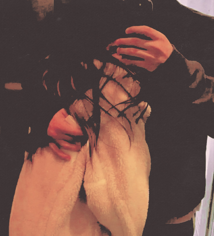 ᅠ ‍ ‍( II. )ᅠ ‍ ᵃⁿᵍᵉˡᅠ ‍d𝒆ᅠ ‍𝓜𝐢͜͡𝐜𝐡. ♡ tweet media