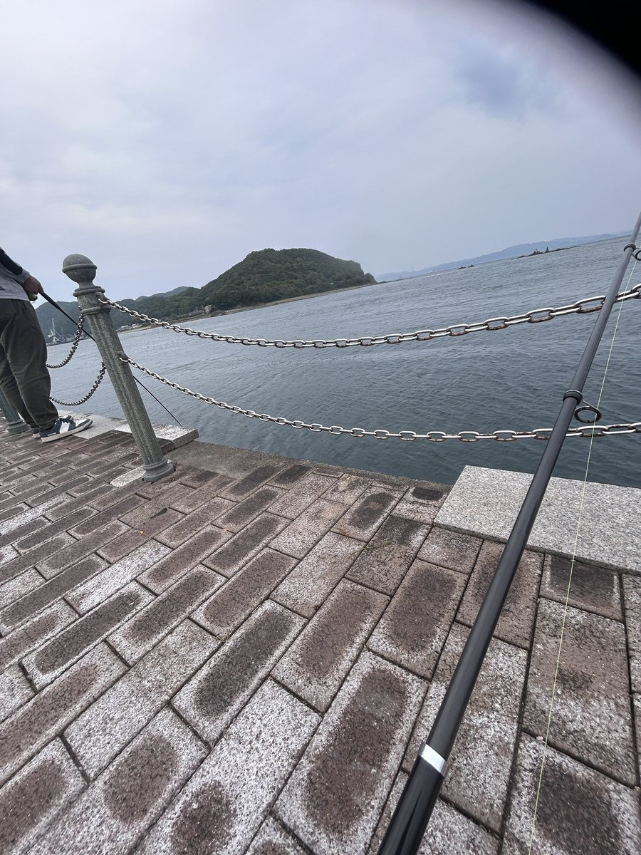 何も釣れん