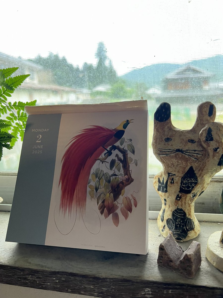 sumiko aoki (@sumiko_aoki) / Posts / X