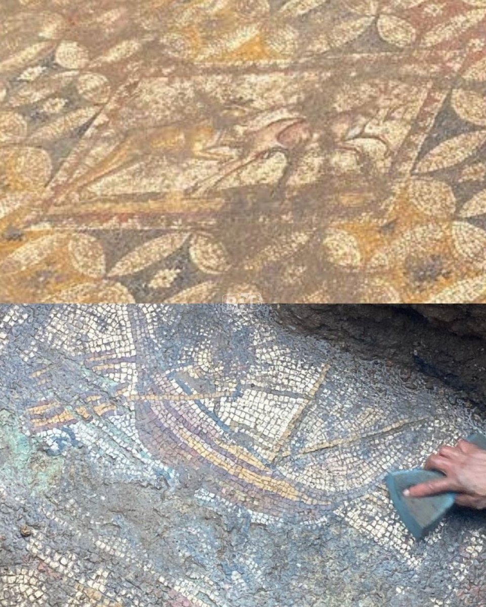 İznik’te, Kraliçe Nicea’ya ait olduğu düşünülen saray kalıntılarında 2500 yıllık mozaikler keşfedildi.