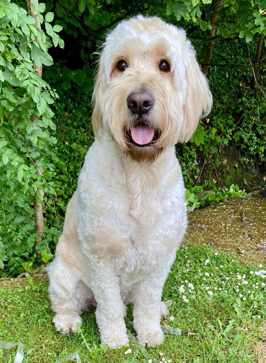 Good morning friends. Looking forward to a day of play and adventure. Hope y’all have a wonderful day out there and stay nice and safe. Big Monday love 🥰🐾