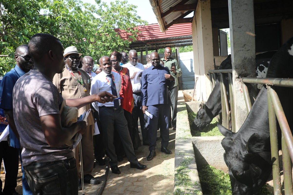 FAOSouthSudan's tweet photo. What an eye-opener! 👀

A delegation led by #Livestock Minister Onyoti Adigo &amp; @FAO #SouthSudan Rep Meshack Malo, visited Loggo East mixed farm, Central Equatoria, a thriving dairy #Milk 🥛 production venture.

This thriving farm has real potential as a #CenterForExcellence! 🇸🇸 https://t.co/0MPQZDojtZ