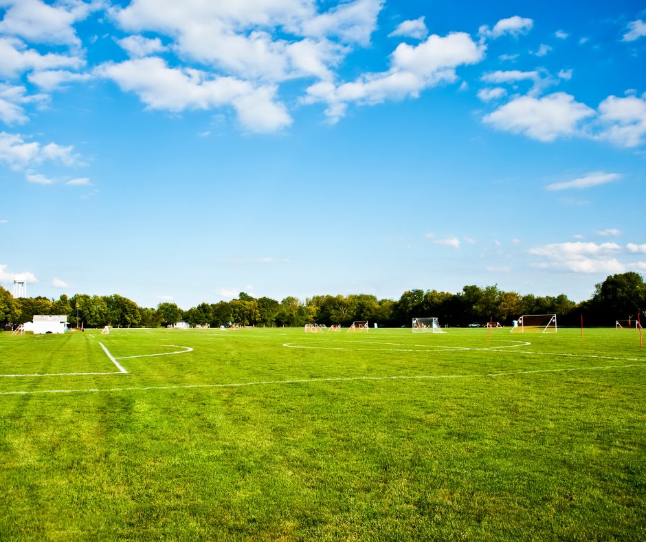 🎓⚽ Formación económica y de calidad. Si buscas iniciar tu carrera como entrenador de fútbol, en Formación, Deporte y Empleo tenemos los mejores cursos a precios accesibles y con financiación. ¡Contáctanos! #TécnicoDeportivo #Fútbol #FormaciónDeportiva