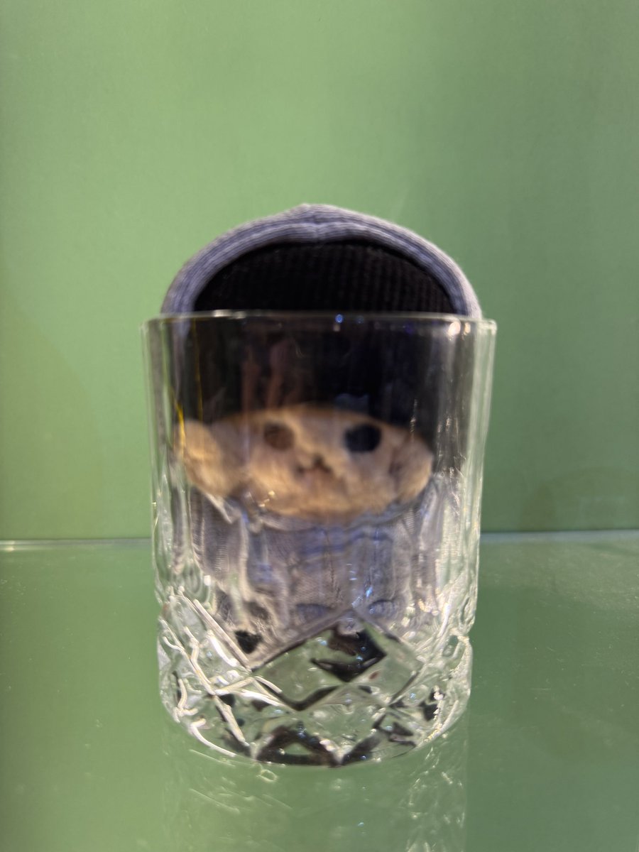 #리얼월드성수 에서 또다시 즐겁게 놀았어요!! 난의도는 VersuS보다 좀 쉽지만 재미있게 풀었어요~ 순조롭게 퍼즐을 다 풀 때는 정말 성취감을 느꼈어요! 직원분들도 넘 친절했고 정말 감사합니다

#RealworldSeongsu #유아유 #UAU #Dreamcatcher_UAU
#Playlist #You_Are_You #리수UAU사인폴라이벤트