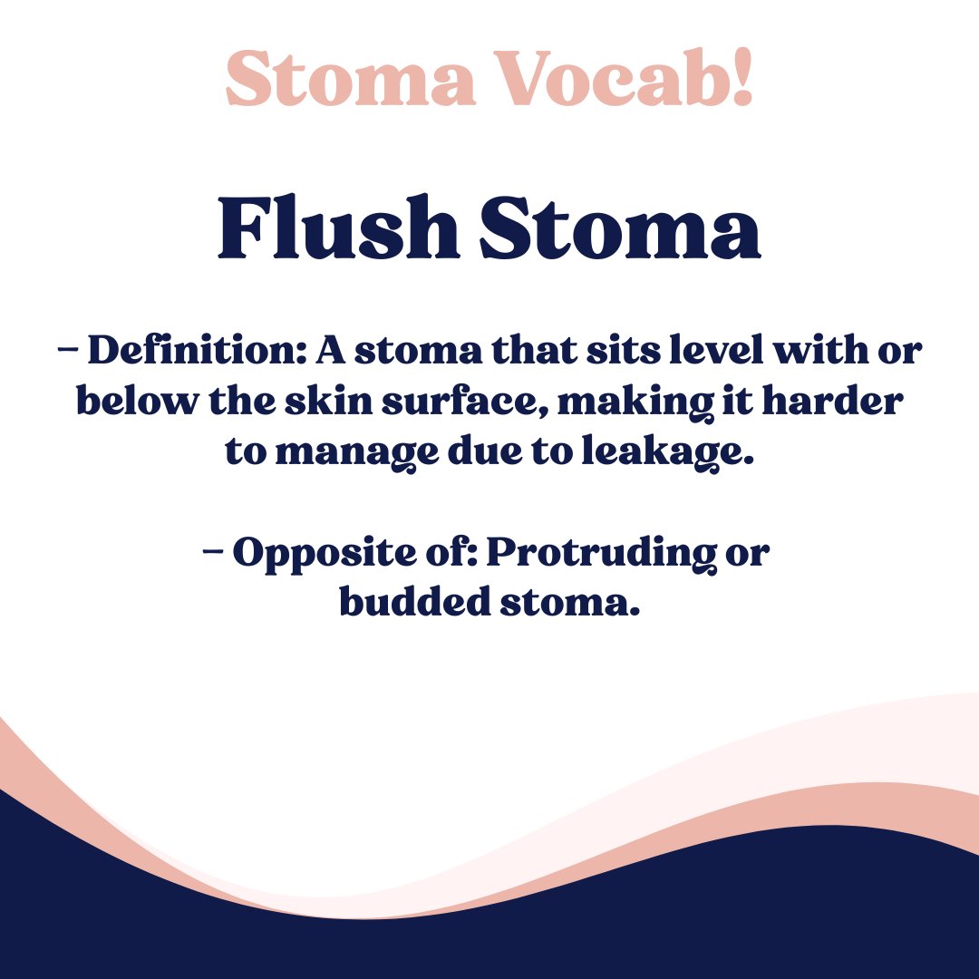 Essential stoma vocabulary to learn!  

Understanding stoma-related terms can be crucial for effective communication with health care professionals. Familiarising yourself with these terms can empower you in managing your condition confidently.