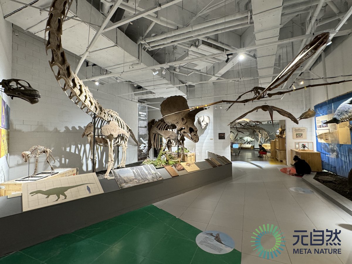 Tour exhibition last year.