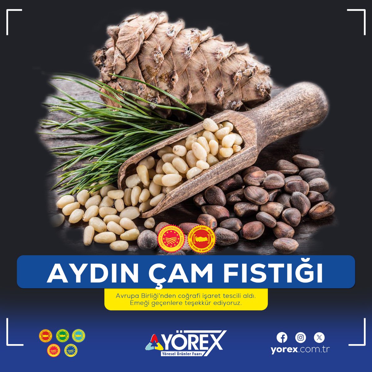 🟡Coğrafi işaretli ürünlerimiz AB'de değer bulmaya devam ediyor. 🇹🇷🇪🇺 Aydın Çam Fıstığı, Avrupa Birliği’nden coğrafi işaret tescili alan 33. ürünümüz oldu. Ülkemize ve Aydın’a hayırlı olsun.🧿 🎊Yerel değerlerimize sahip çıkan, ekonomiye kazandıran herkesin emeğine sağlık. 🇹🇷🇪🇺