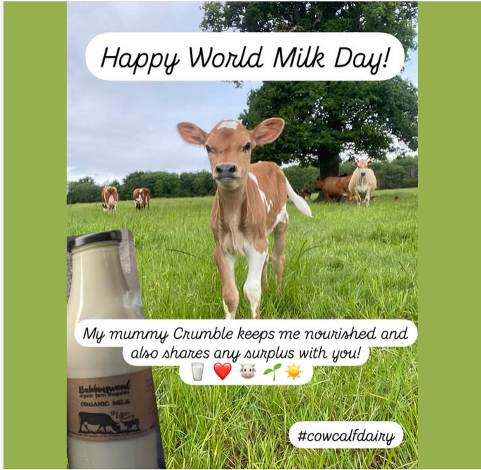 BabbinswoodCBS's tweet photo. Happy World Milk Day https://t.co/8nUlZ44v9n