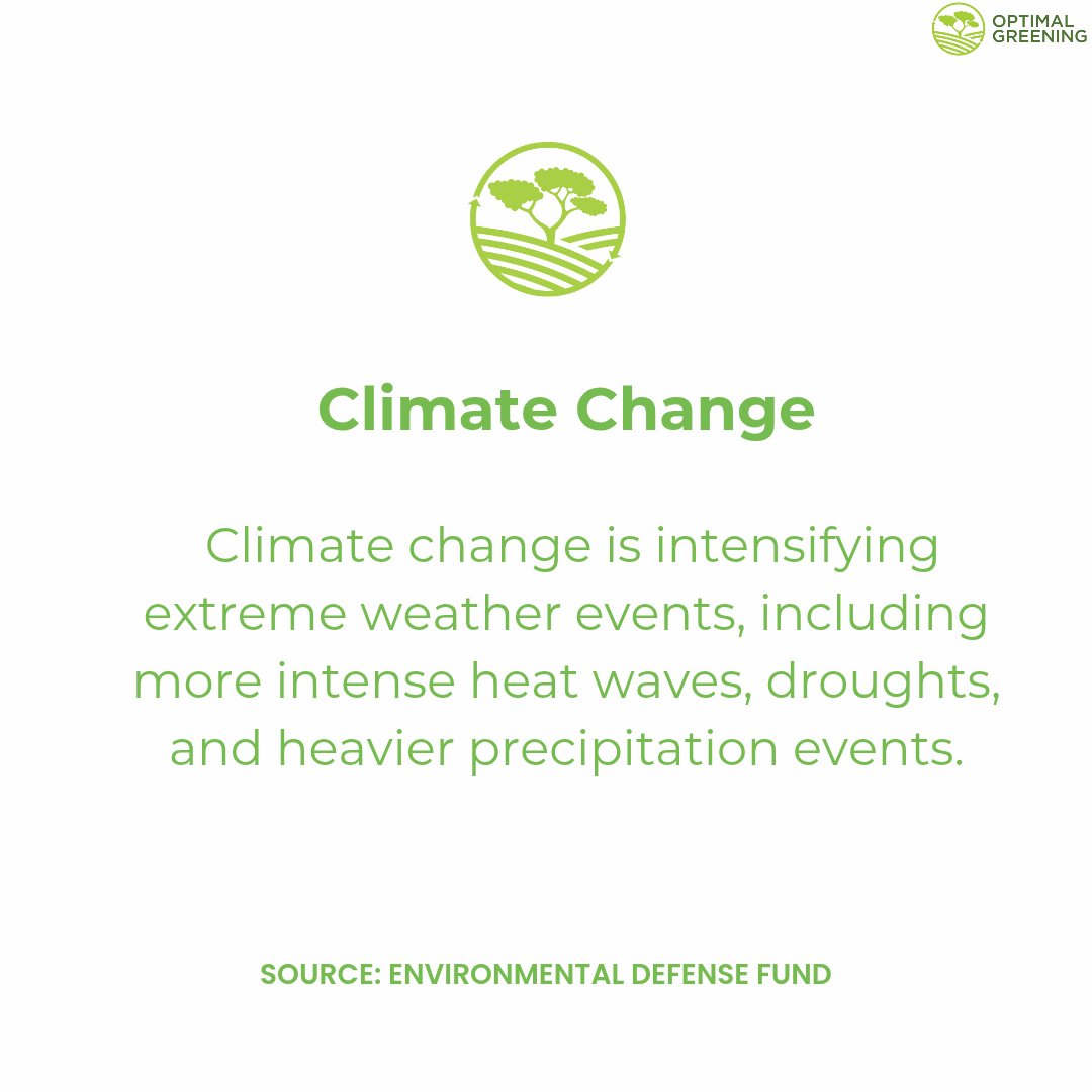 optimalgreening's tweet photo. As #WorldEnvironmentDay approaches, we take a look at some key environmental statistics highlighting the pressing challenge.

#Environment #ClimateChange #Sustainability #optimalgreening #RenewableEnergy https://t.co/LGgPfzYI9j