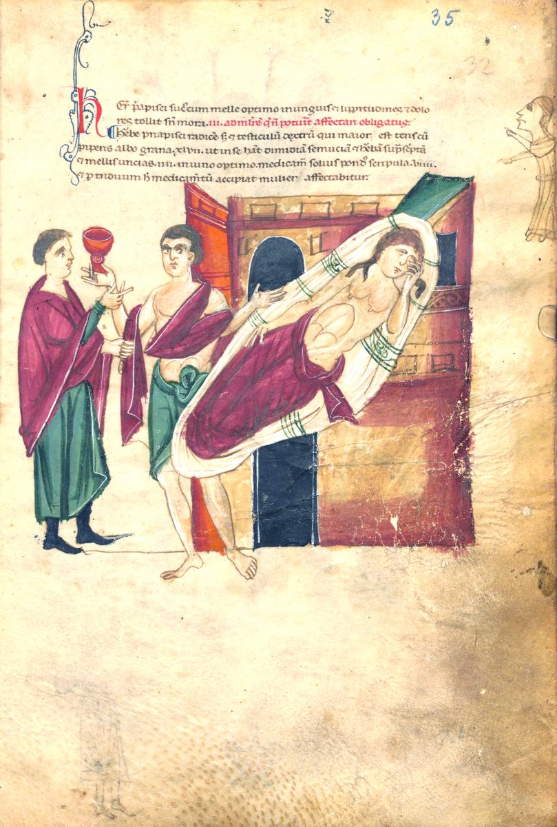 Indigenous Remedies 3:

The Virtues of Salep ("Succus Priapisci"), Italy - 13th century

from Pseudo Apuleius, Cod. 93 HAN MAG, f. 35r, Österreichische Nationalbibliothek, Vienna.

#CSMBR #MedicalHistory #Salep #IndigenousRemedies
