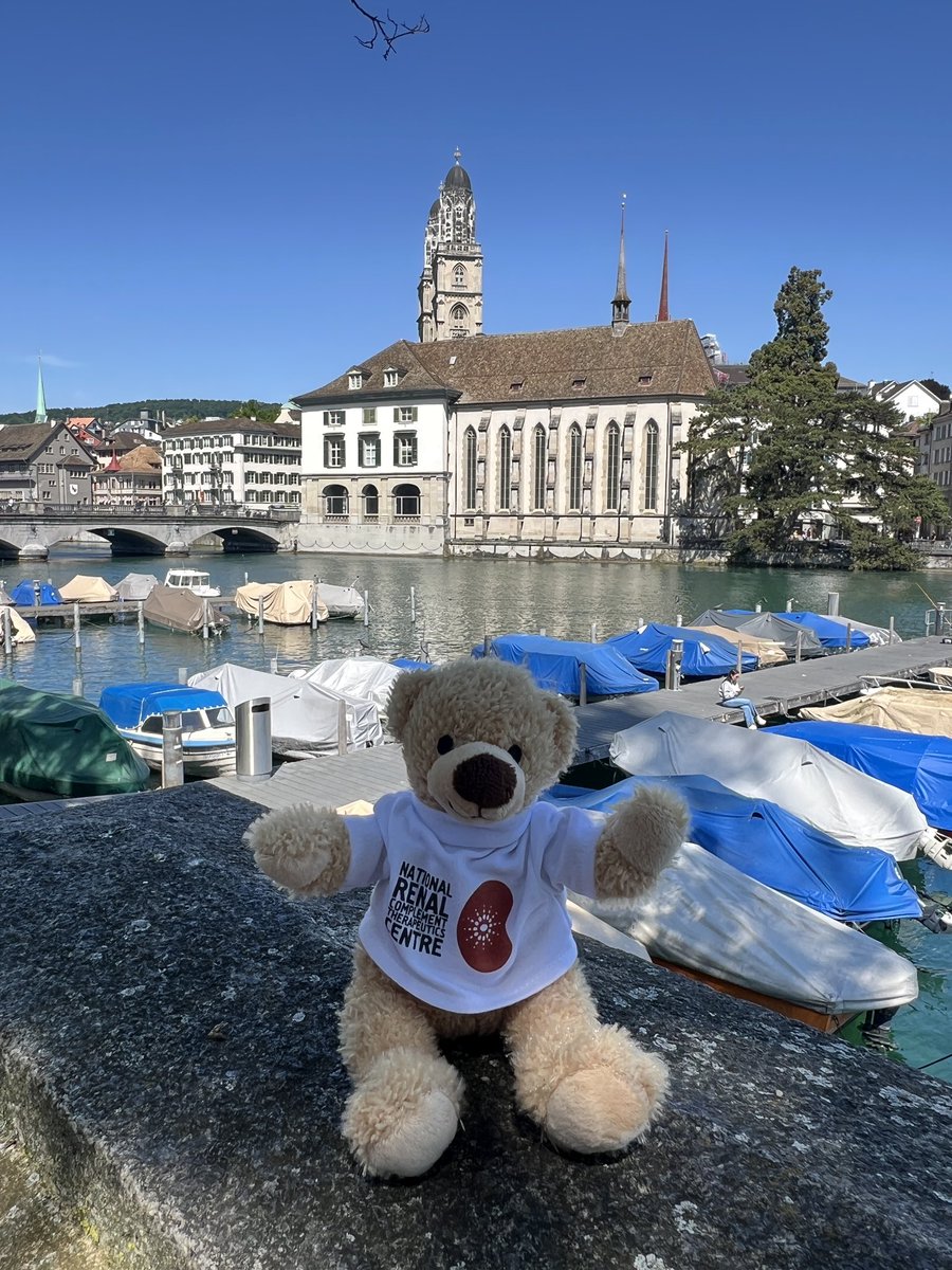 #SeAmHUS has made it to Zurich to talk complement mediated kidney disease