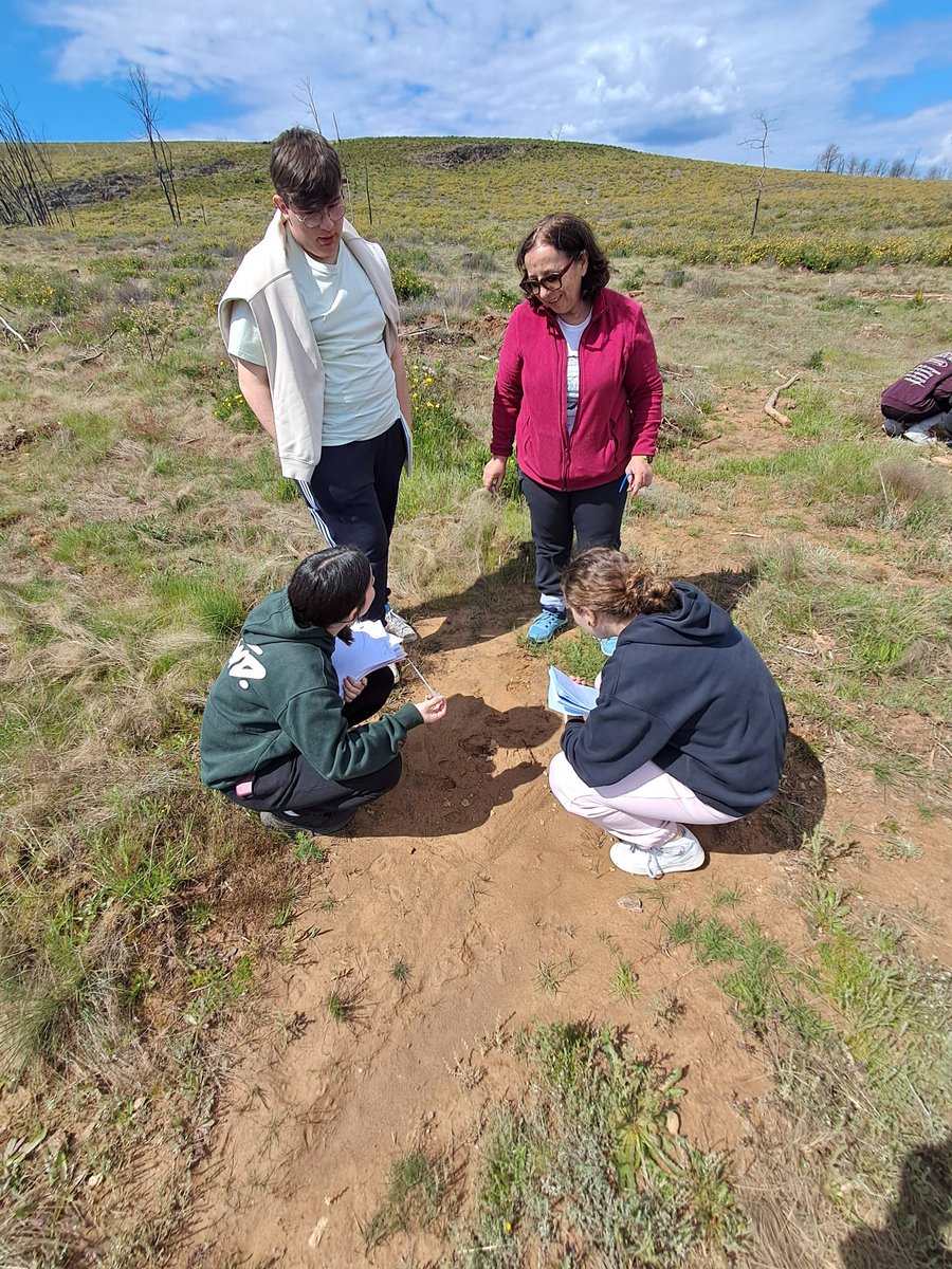 🌲🌿 ¡Explorando los ecosistemas mediterráneos en Villardeciervos! 🔍🏞️
#BIE #BIE1 #tallerbiología #ecología #somosBIEsomosCiencia #ieslossauces #benavente #unileon <a href="/sauces49000391/">IES LOS SAUCES</a> <a href="/unileon/">Universidad de León</a>