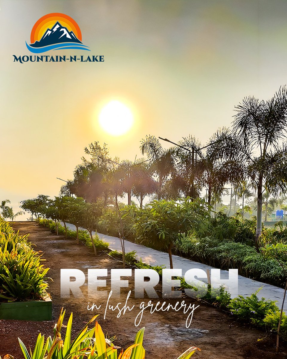MountainNLake's tweet photo. Where mornings begin in gold and greenery 🌞
Refresh your senses in nature’s embrace.
📞 Contact us for reservations &amp; inquiries.
📞 Call: +91 90675 23612
#RefreshInNature #GreenEscape #MorningGlow #SunriseVibes #NatureResort #LakeSideRetreat #LushGetaway #SereneStay https://t.co/ioE4IGQgVA