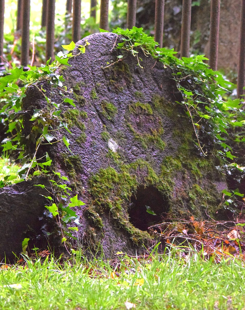 Nina McNeary (@nina_nctni) on Twitter photo #MementoMoriMonday
Took shelter from the rain at Laraghbryan Church, Maynooth and glad I did. Otherwise, I’d have missed this reused millstone, quietly serving as a gravemarker.
<a href="/historicgraves/">Historic Graves</a> #MementoMoriMonday
Took shelter from the rain at Laraghbryan Church, Maynooth and glad I did. Otherwise, I’d have missed this reused millstone, quietly serving as a gravemarker.
<a href="/historicgraves/">Historic Graves</a>