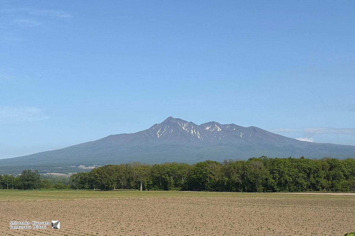 今日の斜里岳さん！🧸⛰️✨