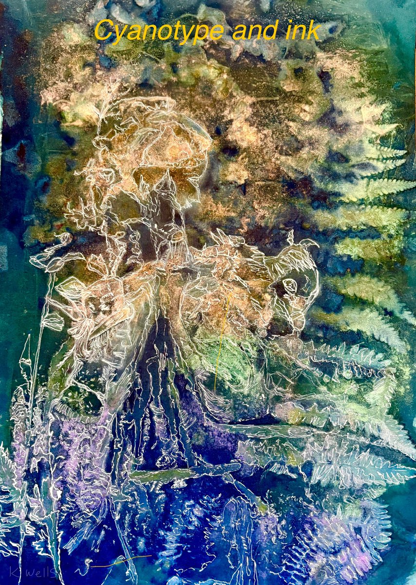 TwistsPaper's tweet image. Cyanotype and Ink #cyanotype #alternativephotography #nature #environment #woods #woodlandspirit #ancientwoods #art  #sudbury #Suffolk #papertwists