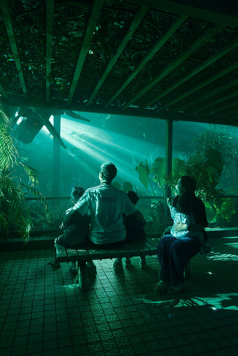 ／
#LIGHTCYCLESKYOTO
フォトスポットのご紹介📸
＼

最初のゾーンである『LIGHT WILL FIND YOU』は熱帯の高木が栽培されるジャングル室であり、曲がりくねった小路を進んでいくと、ベンチに座って音と光が楽しめるスポットがあります😌