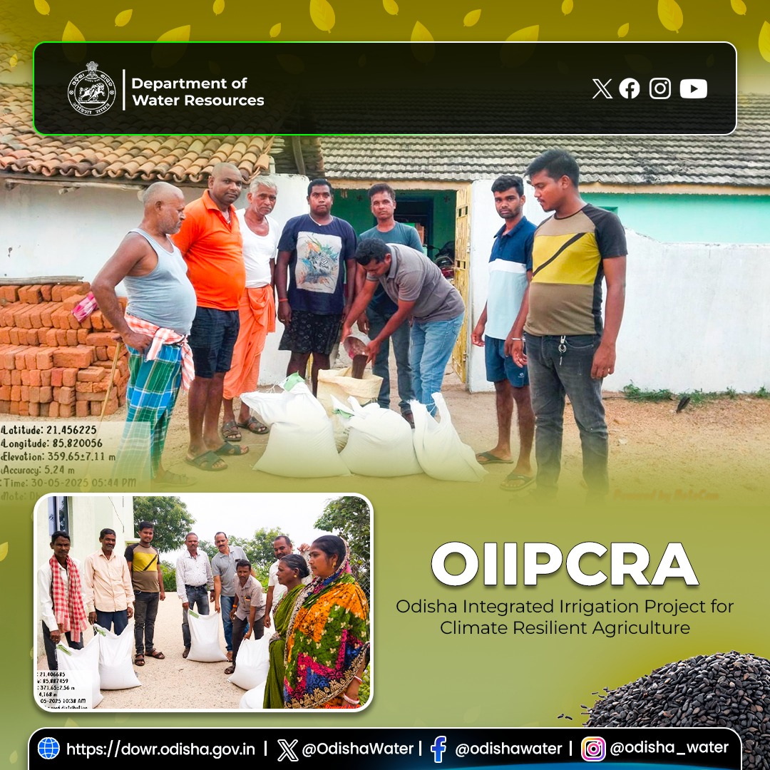 Deptt. of Water Resources (@odishawater) on Twitter photo Dhanicha seeds were distributed at Santarapur & Chhatia villages under Raghubeda MIP, and Mukundapurpatna village under Kumutianala MIP in Ghatagaon, Keonjhar District. #OdishaWater #OIIPCRA #SeedDistribution #SustainableFarming
<a href="/CMO_Odisha/">CMO Odisha</a> <a href="/OIIPCRA_OCTDMS/">OIIPCRA</a> <a href="/_anugarg/">Anu Garg</a> <a href="/DC_Odisha/">Office of Development Commissioner, Odisha</a> Dhanicha seeds were distributed at Santarapur & Chhatia villages under Raghubeda MIP, and Mukundapurpatna village under Kumutianala MIP in Ghatagaon, Keonjhar District. #OdishaWater #OIIPCRA #SeedDistribution #SustainableFarming
<a href="/CMO_Odisha/">CMO Odisha</a> <a href="/OIIPCRA_OCTDMS/">OIIPCRA</a> <a href="/_anugarg/">Anu Garg</a> <a href="/DC_Odisha/">Office of Development Commissioner, Odisha</a>