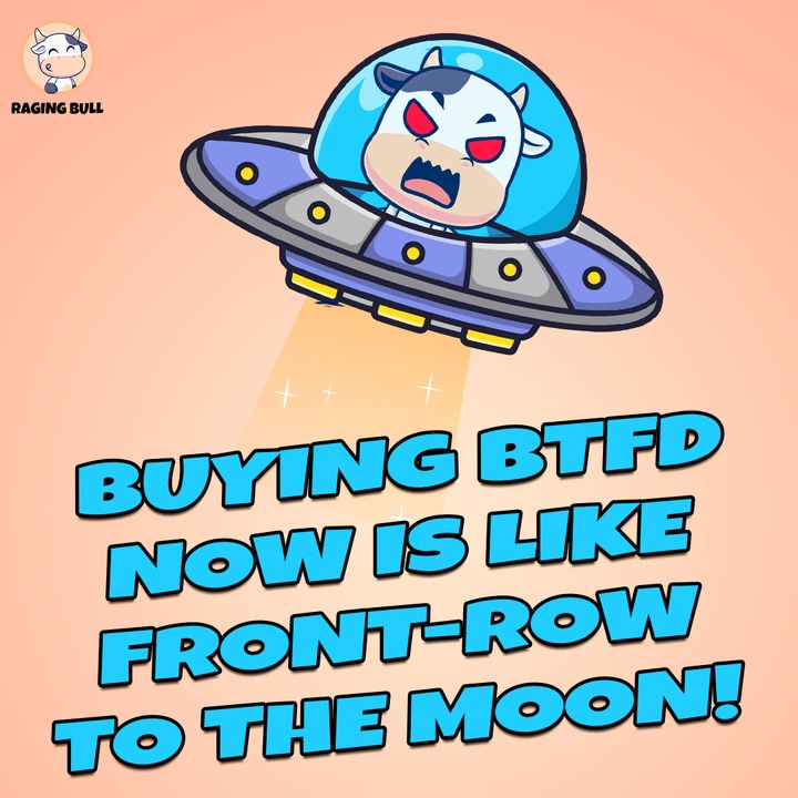 RagingBull_BTFD's tweet photo. 🚀 No floor seats here. 

🌕 We’re talkin’ zero-gravity, moon-bound style. 

💰 Load up on $BTFD. 

#BTFD #CryptoMarket #Altcoins #bullrun https://t.co/6DtC1kwvYf